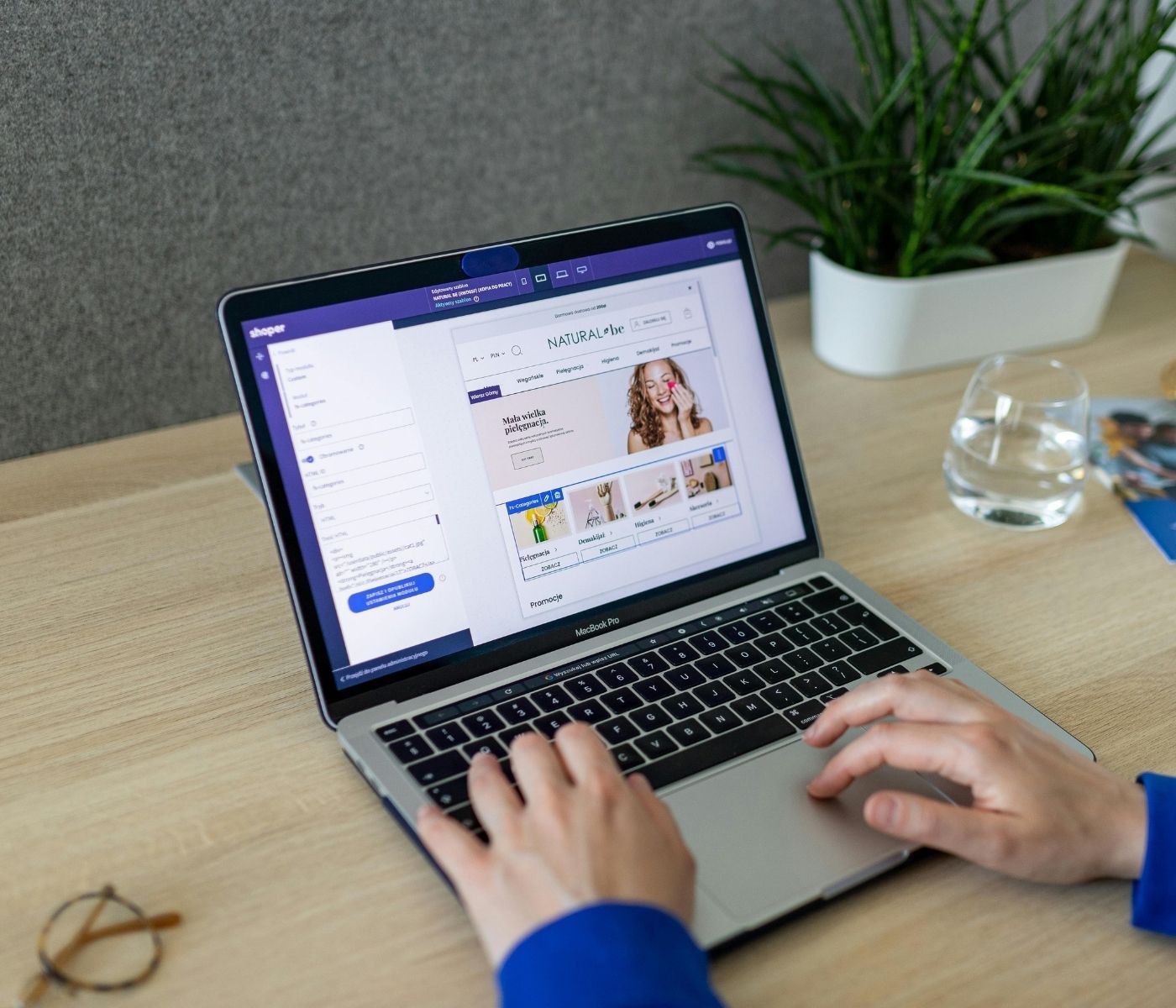 web development services